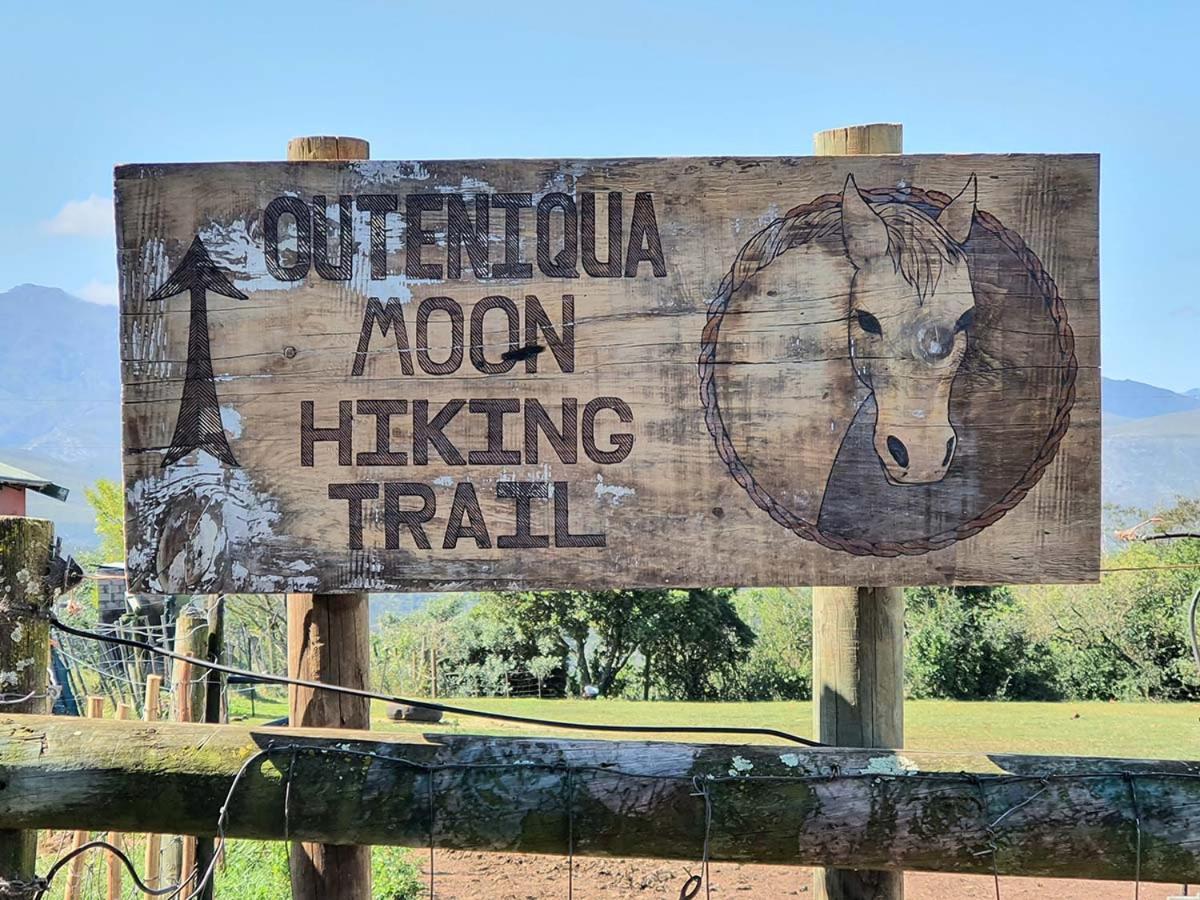 Outeniqua Moon Percheron Stud Farm Ruiterbos Dış mekan fotoğraf