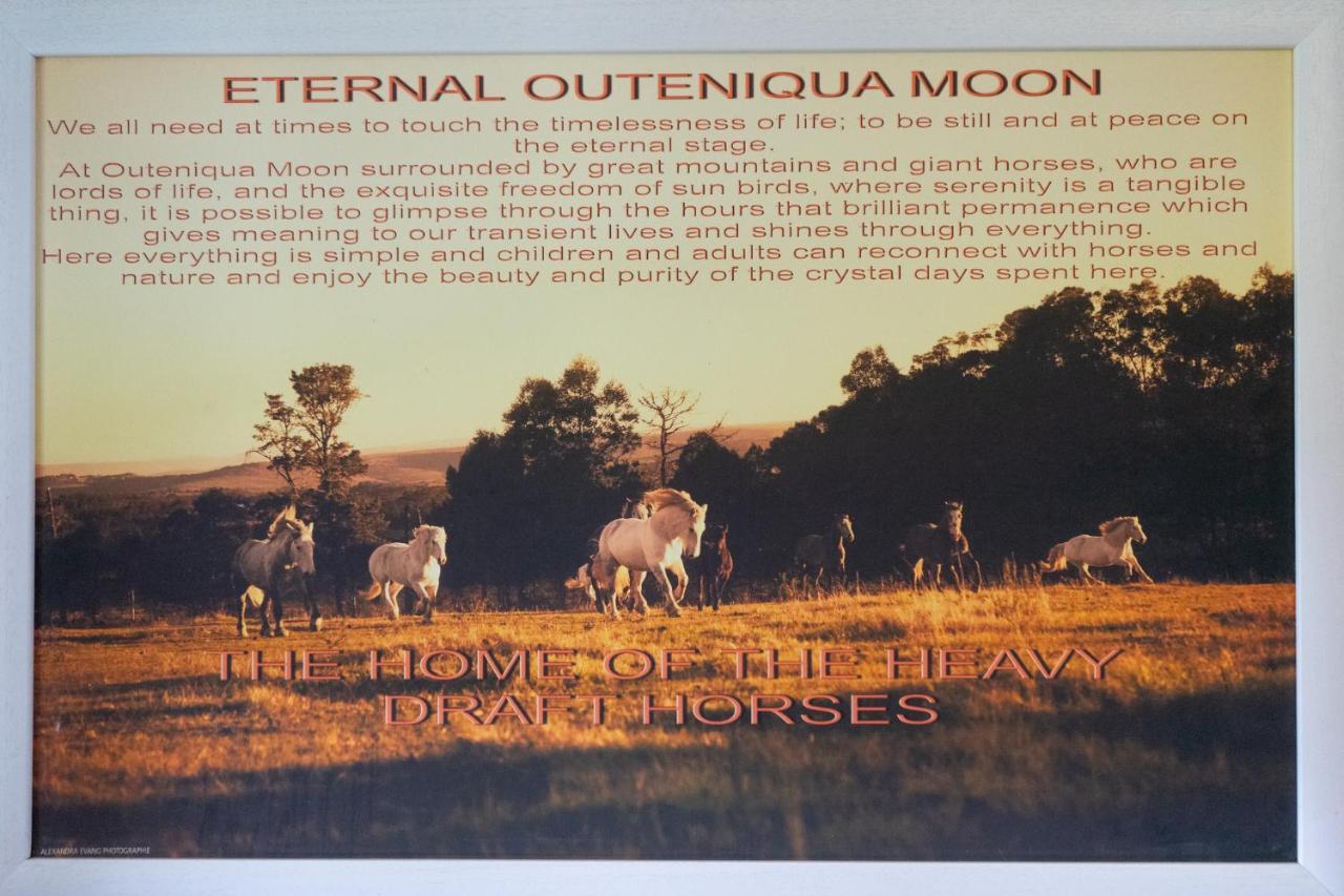 Outeniqua Moon Percheron Stud Farm Ruiterbos Dış mekan fotoğraf