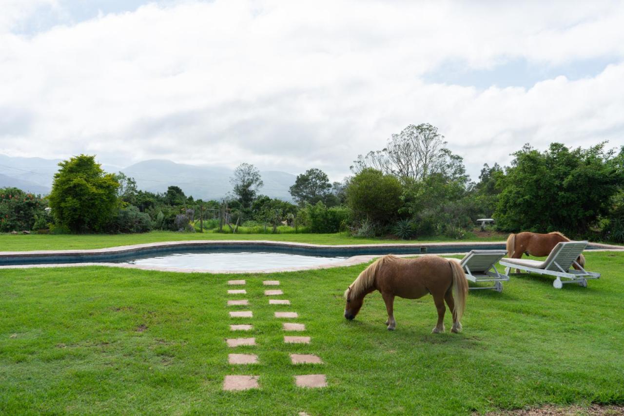 Outeniqua Moon Percheron Stud Farm Ruiterbos Dış mekan fotoğraf